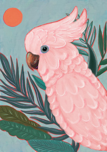 Roze tropische kaketoe