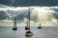 Segelschiffe auf der Westerschelde