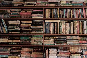 la bibliothèque