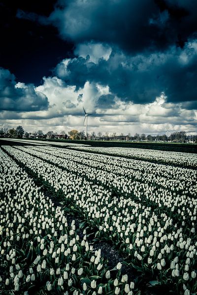 clouds at Werfershoof by peterheinspictures