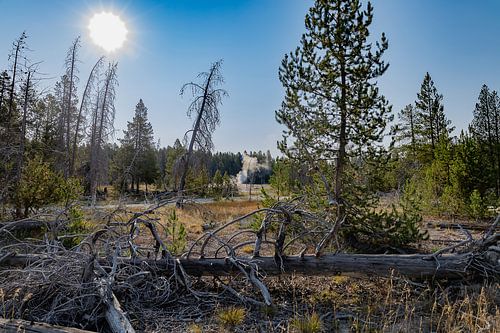 Yellowstone National Park