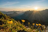 Sonnenaufgang in den Allgäuer Alpen von Leo Schindzielorz Miniaturansicht