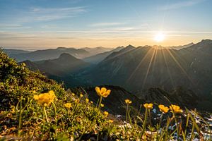 Sonnenaufgang in den Allgäuer Alpen von Leo Schindzielorz