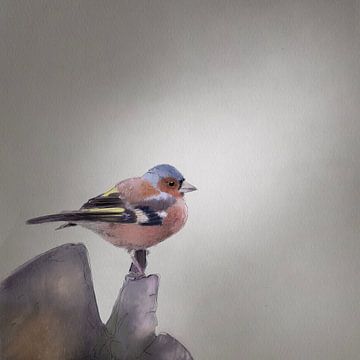 Finch Watercolor by Emmy Van der knokke
