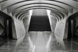 Guillemins by Ronald Beelen