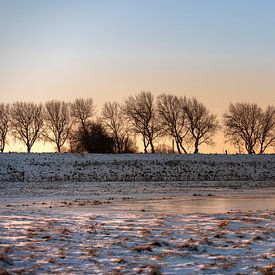 Winterse zonsopkomst tussen de sneeuw van Percy's fotografie