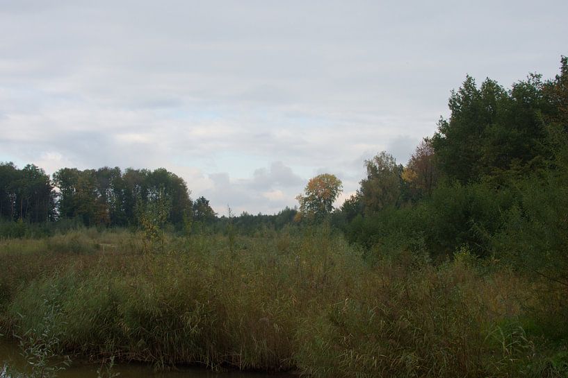 Nature in the Northeast Polder by Gerard de Zwaan