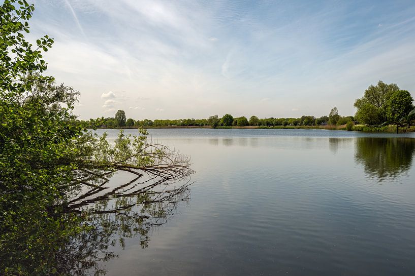 Gefallener Baumast spiegelt sich im Wasser von Ruud Morijn