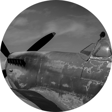 Supermarine Spitfire. van Roel  van Moorsel