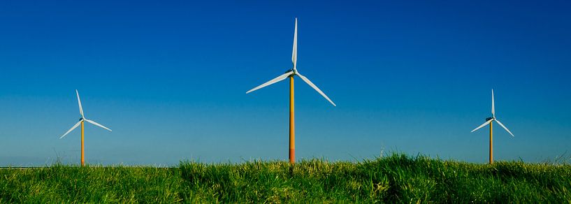 Powerful winds Flevoland by Sven Wildschut