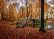 Autumn bridge by Mario Visser thumbnail