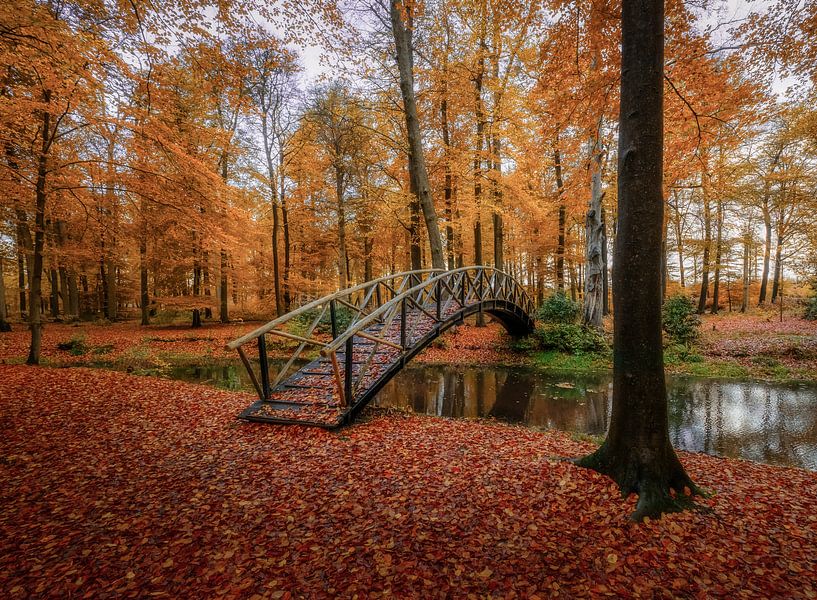 Autumn bridge by Mario Visser