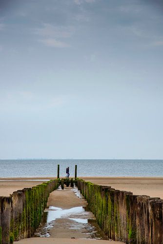Breakwaters at Zoutelande