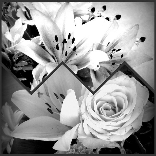 Collage White Flowers by Nicky`s Prints