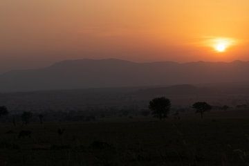 Silence and colour - The magic of Kidepo's horizon by Rick Massar