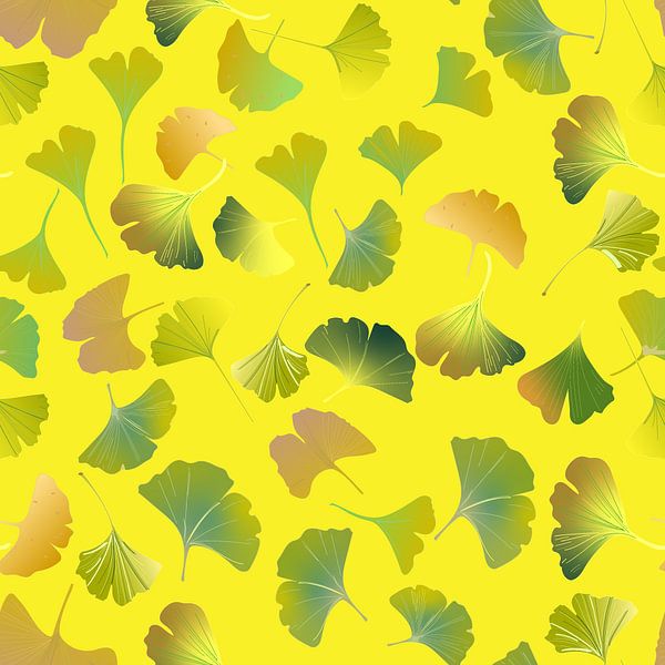 Ginkgo biloba par JipvanZeist