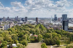 De Erasmusbrug Rotterdam von Menno Schaefer