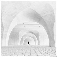 Antwerp in black and white