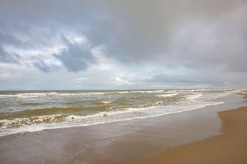 Plage de la mer du Nord à domburg zeeland