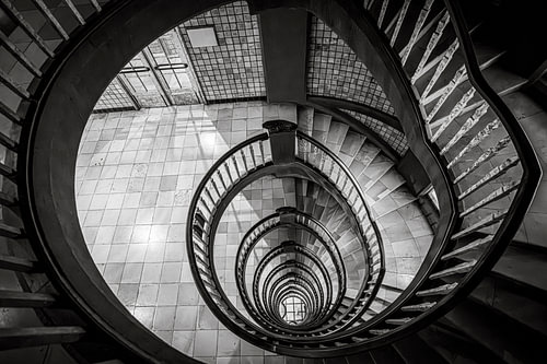 The Golden Spiral