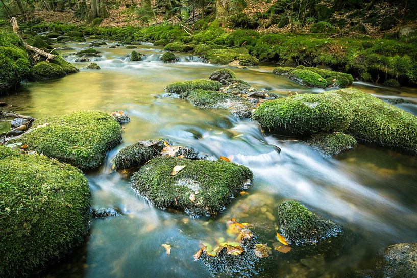 River in Autumn by Tobias Luxberg