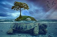 surreale Insel von Marco Herman Photography Miniaturansicht