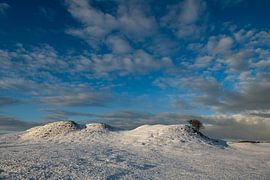Snowy landscape in the Zeepeduinen in Zeeland
