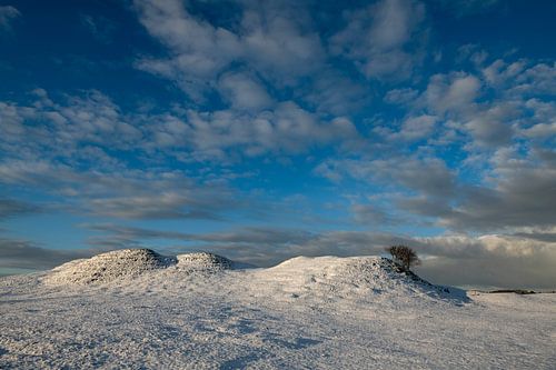 Paysage enneigé dans les Zeepeduinen en Zélande