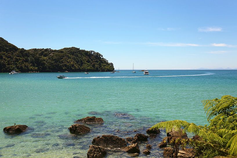 40/5000 The water taxi - Abel Tasman National Park by Shot it fotografie