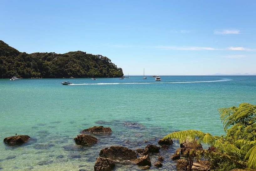 De watertaxi / Abel Tasman National Park van Shot it fotografie