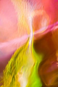 Flames of passion