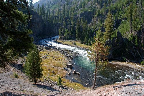 YELLOWSTONE NATIONAL PARK -  USA