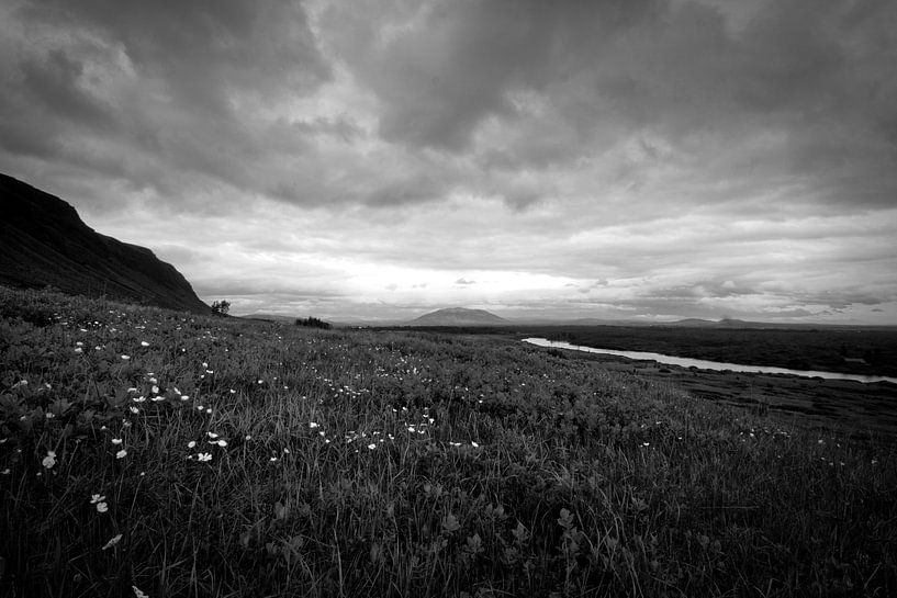 Vergezicht in IJsland par Jasper Hovenga
