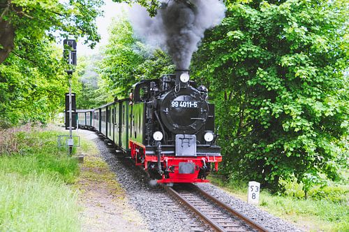 Rasender Roland Rügen von Andreas Horst