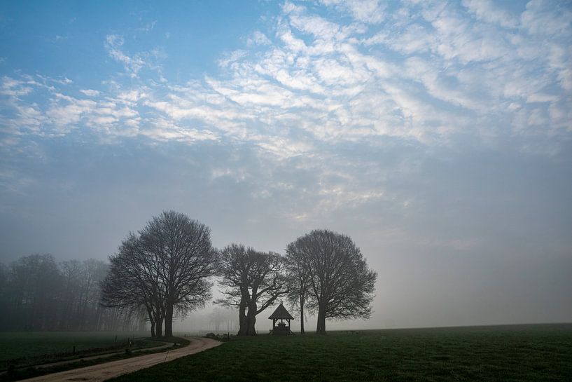 Kroezenboom im Morgennebel von Ron Poot