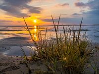 Wadden Sea at the North Sea at sunset