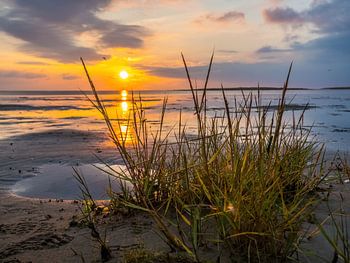 Wadden Sea at the North Sea at sunset