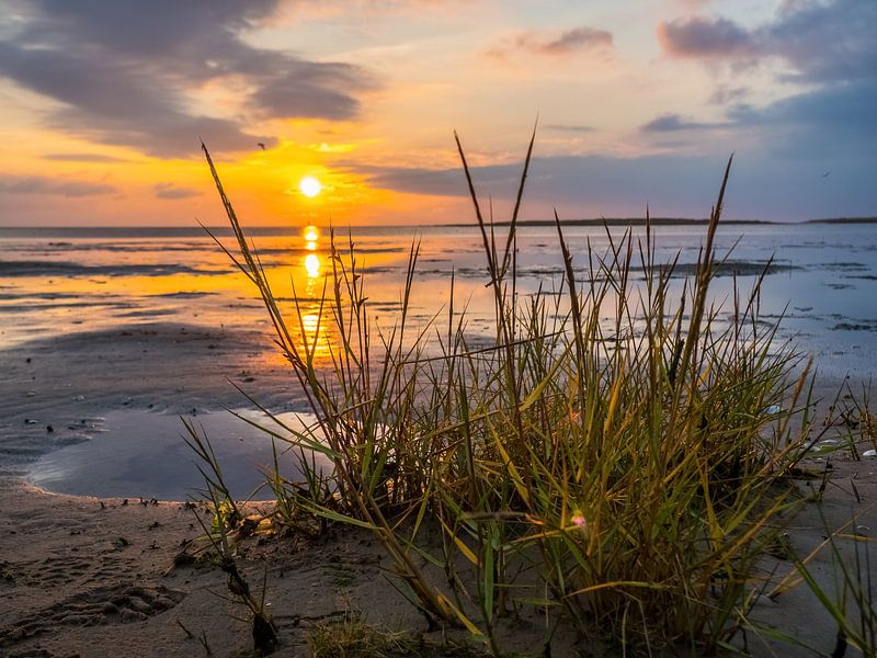 La mer des Wadden à la mer du Nord au coucher du soleil par Animaflora PicsStock