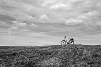 Fiets