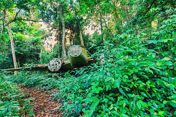 Wrack eines Flugzeugs in Surinam von René Holtslag