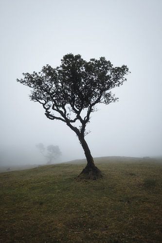 Madère
