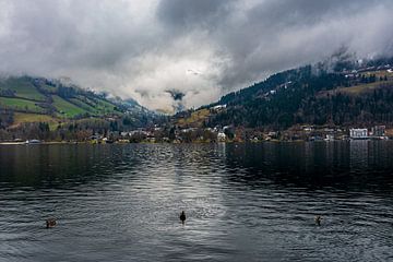 Nebelberge von Tim Lee Williams