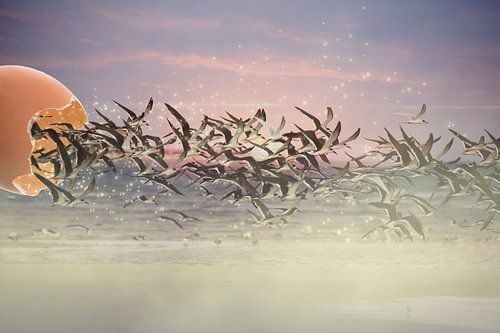 Vogelfrei by Christina Groth-Biswas