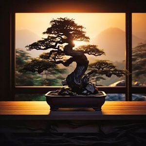 coucher de soleil sur un bonsaï