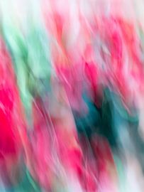 Een zwoele wind van didier de borle