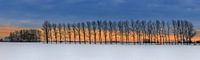 Winter panorama in Groningen, Nederland van Henk Meijer Photography thumbnail