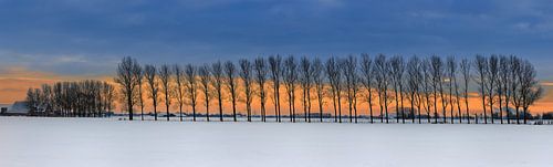 Winter panorama in Groningen, Nederland