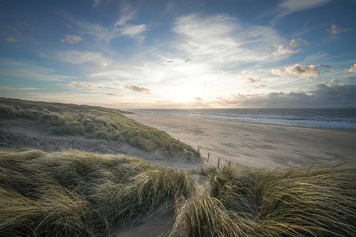 Duin, strand en zee aan de Hollandse kust