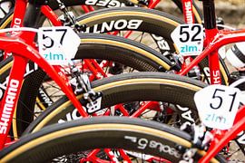 Trek Factory Racing 2015