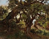 Carlos de Haes-Oude bossen, oude eiken, Antiek landschap van finemasterpiece thumbnail